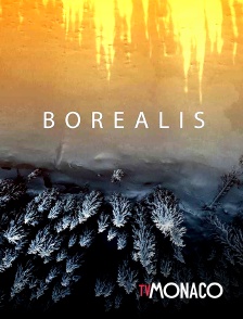 TV Monaco - Borealis