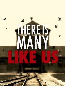 There is Many Like Us