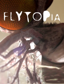 Flytopia