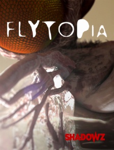 Flytopia