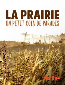 La prairie : un petit coin de paradis