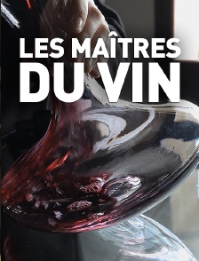 Les maîtres du vin