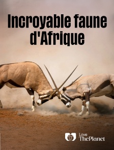 Love the Planet - Incroyable faune d'Afrique