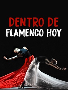 Dentro de «Flamenco hoy»