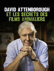 David Attenborough et les secrets des films animaliers