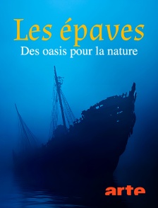 Arte - Les épaves, des oasis pour la nature