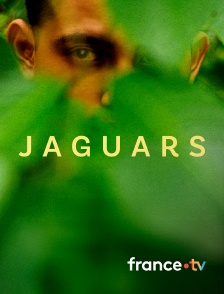 france.tv - Jaguars