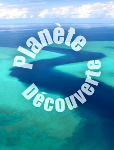 Planète découverte