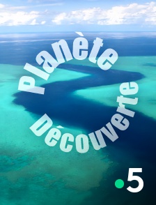 France 5 - Planète découverte