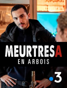 France 3 - Meurtres en Arbois en replay