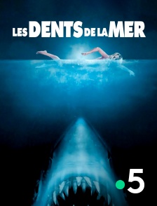 France 5 - Les Dents de la mer