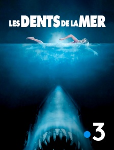 France 3 - Les Dents de la mer