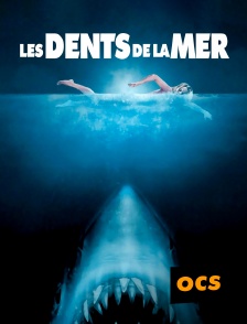 OCS - Les Dents de la mer