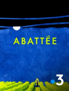 France 3 - Abattée