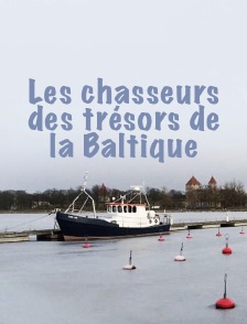 Les chasseurs des trésors de la Baltique