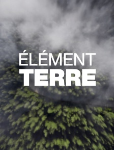 Elément terre