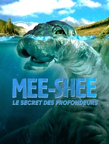 Mee-Shee : le secret des profondeurs