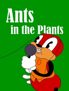 Ants in the plants