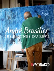 TV Monaco - André Brasilier - Les racines du rêve
