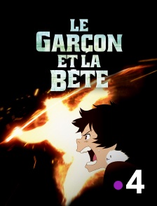 France 4 - Le garçon et la bête