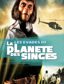 Les évadés de la planète des singes