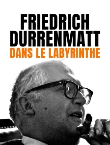 Friedrich Dürrenmatt - Dans le labyrinthe