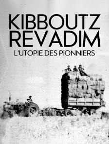 Kibboutz Revadim, l'utopie des pionniers