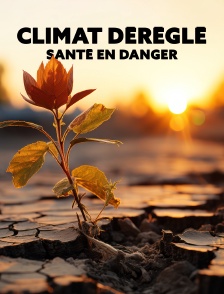 Climat déréglé, santé en danger
