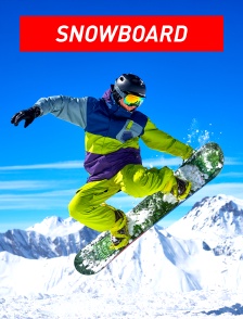 Snowboard