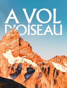 A vol d'oiseau