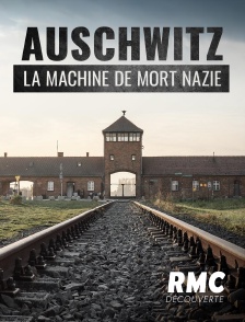 RMC Découverte - Auschwitz, la machine de mort nazie