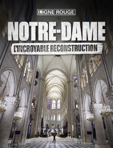 Notre-Dame : l'incroyable reconstruction