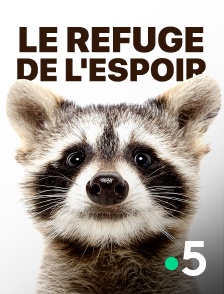 Le refuge de l'espoir