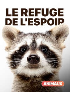 Animaux - Le refuge de l'espoir