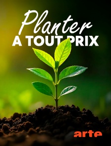 Arte - Planter à tout prix : Des arbres pour sauver la planète ?