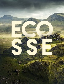 Ecosse
