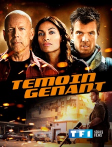 TF1 Séries Films - Témoin gênant