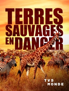 TV5MONDE - Terres sauvages en danger