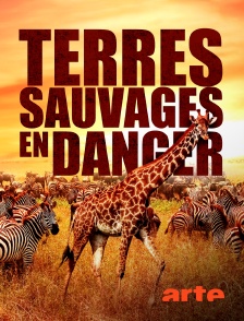 Terres sauvages en danger