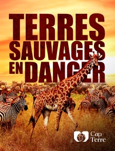 Cap Terre - Terres Sauvages en Danger