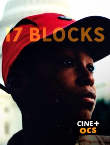 CINÉ Cinéma - 17 Blocks