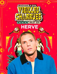 Hervé en concert aux Vieilles Charrues 2024