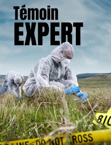 Témoin expert