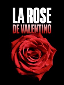 La rose de Valentino