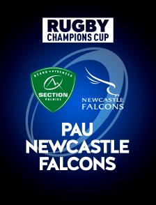 Rugby - Challenge Cup : Pau / Newcastle Falcons