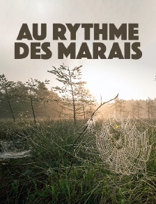 Au rythme des marais