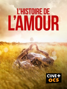 CINÉ Cinéma - L'histoire de l'amour