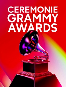 Cérémonie des Grammy Awards