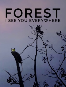 Forest - I See You Everywhere