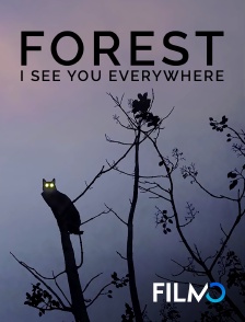 Forest - I See You Everywhere